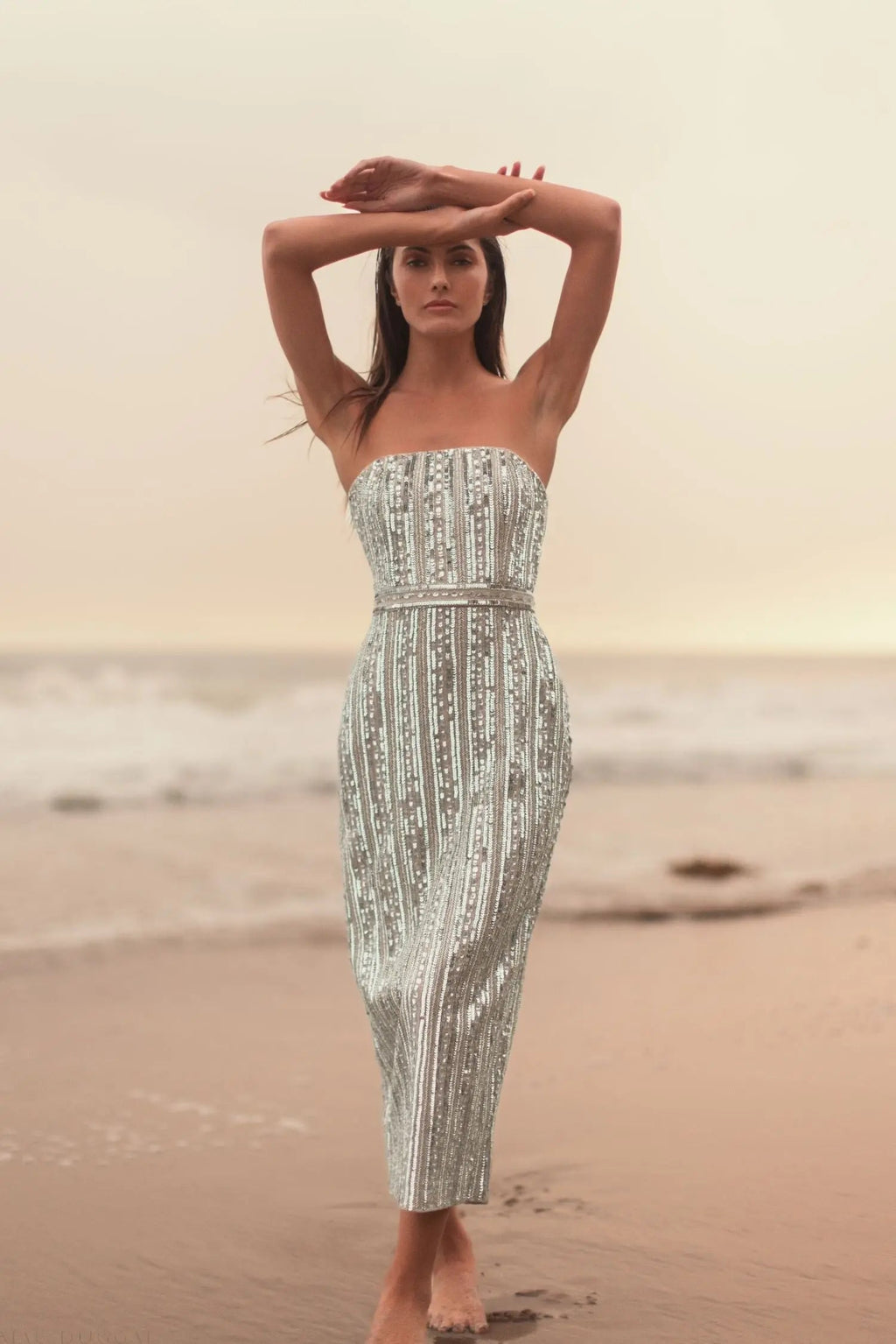 Silver and Beige Embellished Strapless Sheath Dress